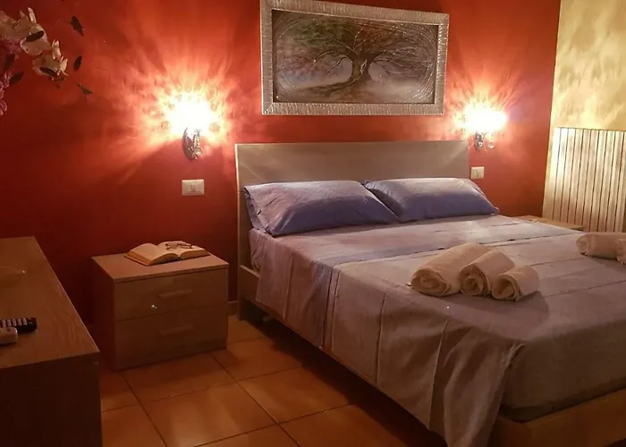 B&B Tanieli
